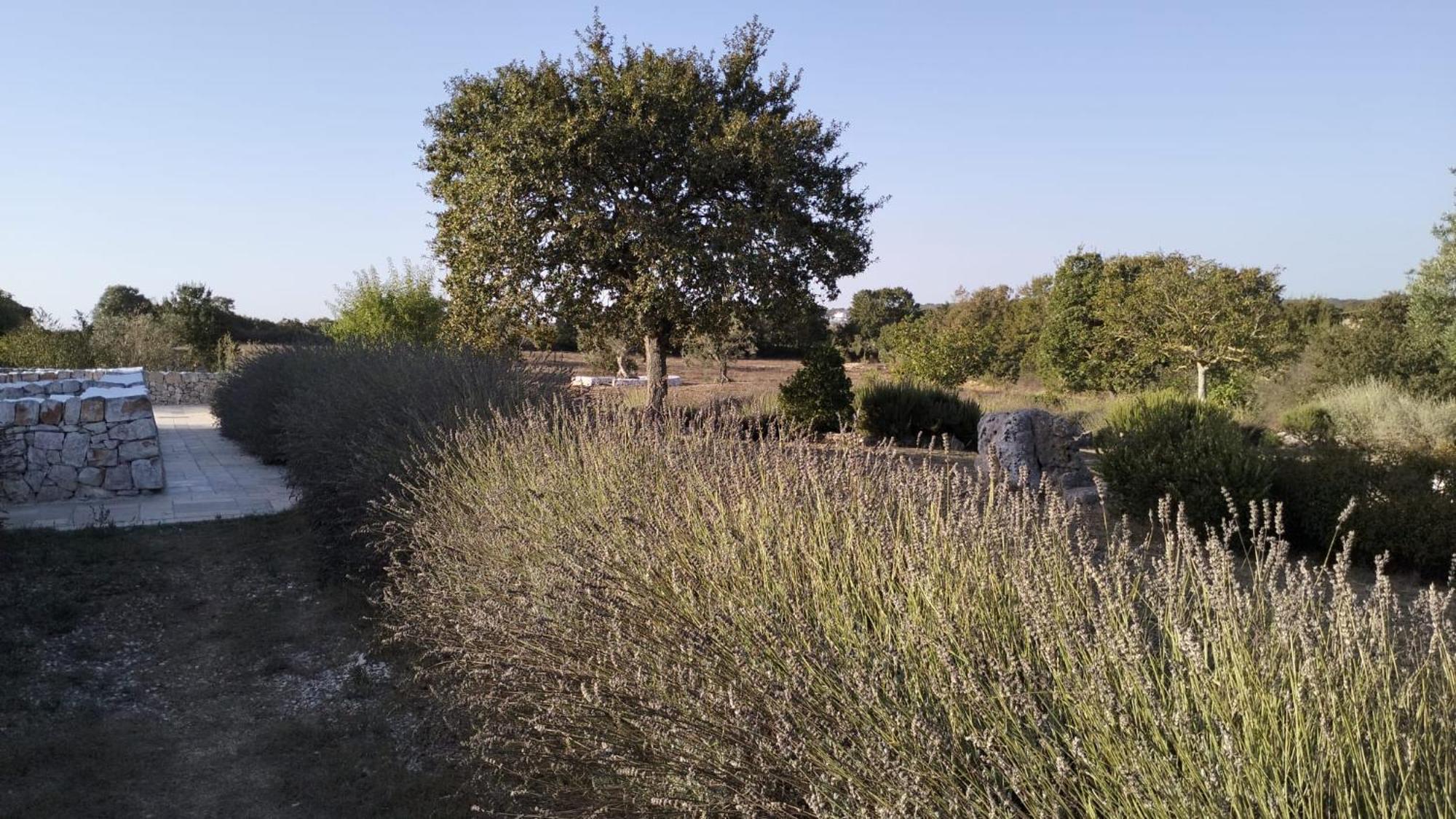 Trullo Dimora Podere Papilio Country house *
