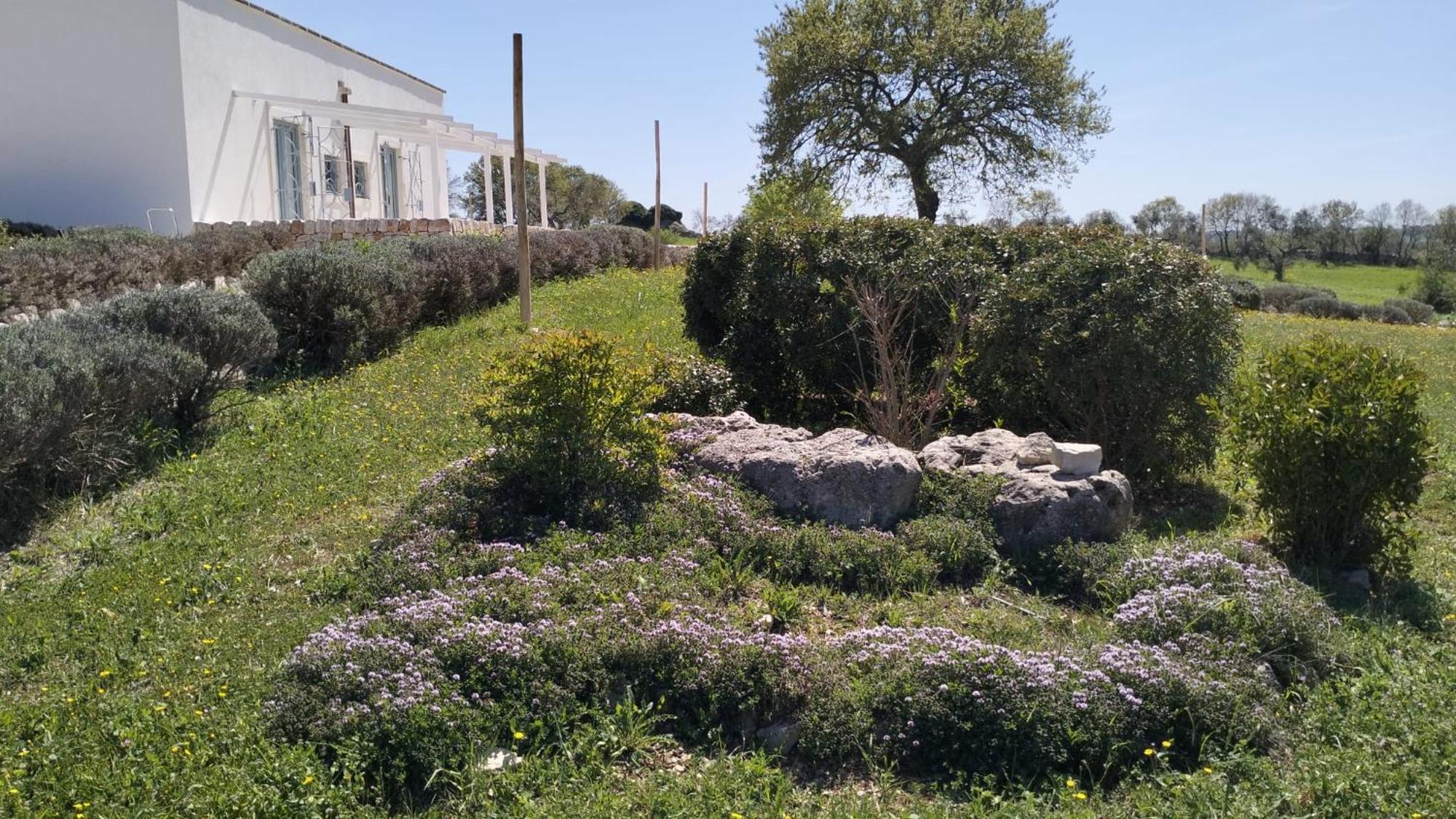 Country house Trullo Dimora Podere Papilio *
