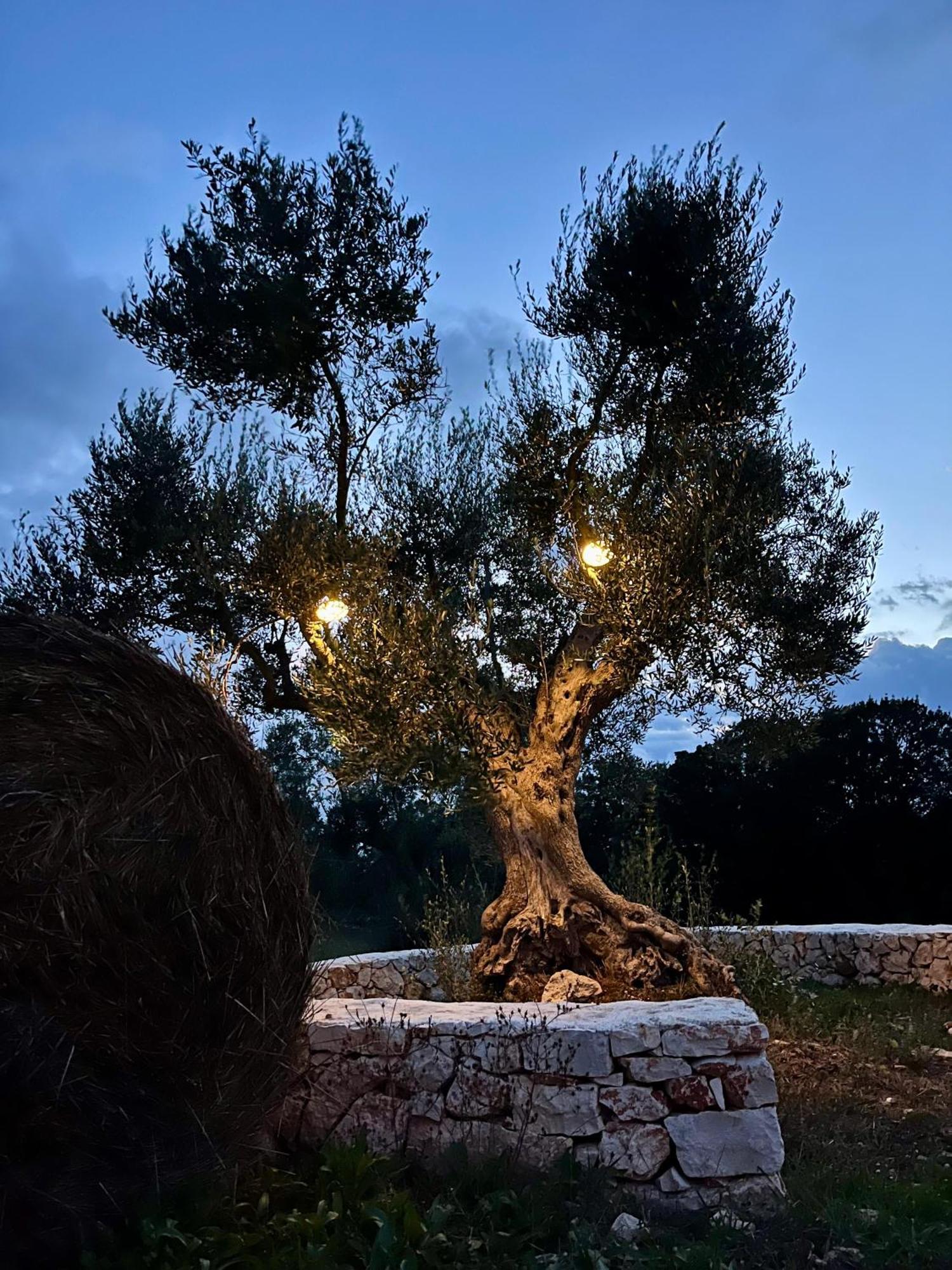 Country house Trullo Dimora Podere Papilio